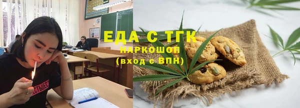 прущие грибы Апатиты