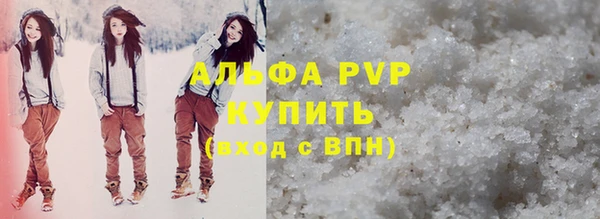 прущие грибы Апатиты