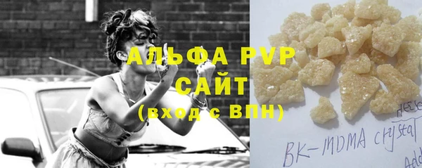 прущие грибы Апатиты