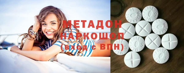 прущие грибы Апатиты