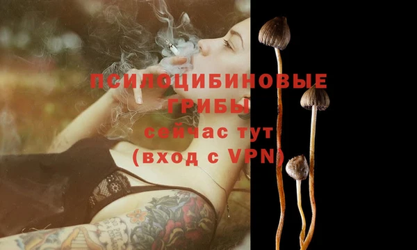 гидра Анива