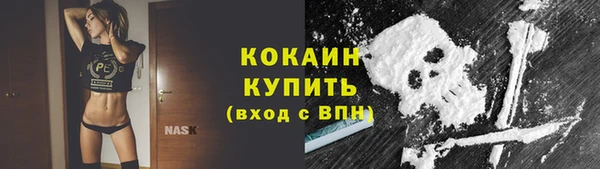 МДПВ Аша