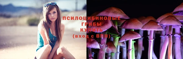 гидра Анива