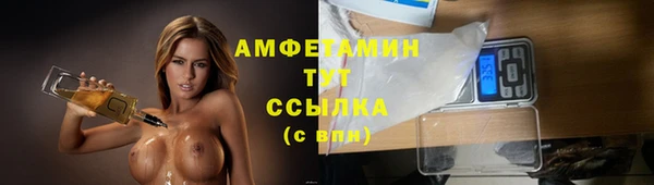 гидра Анива