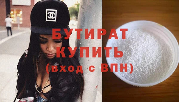 прущие грибы Апатиты
