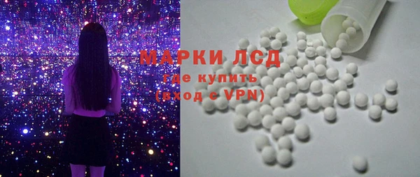 прущие грибы Апатиты