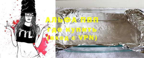 прущие грибы Апатиты
