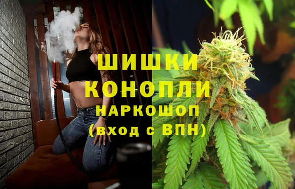 гидра Анива